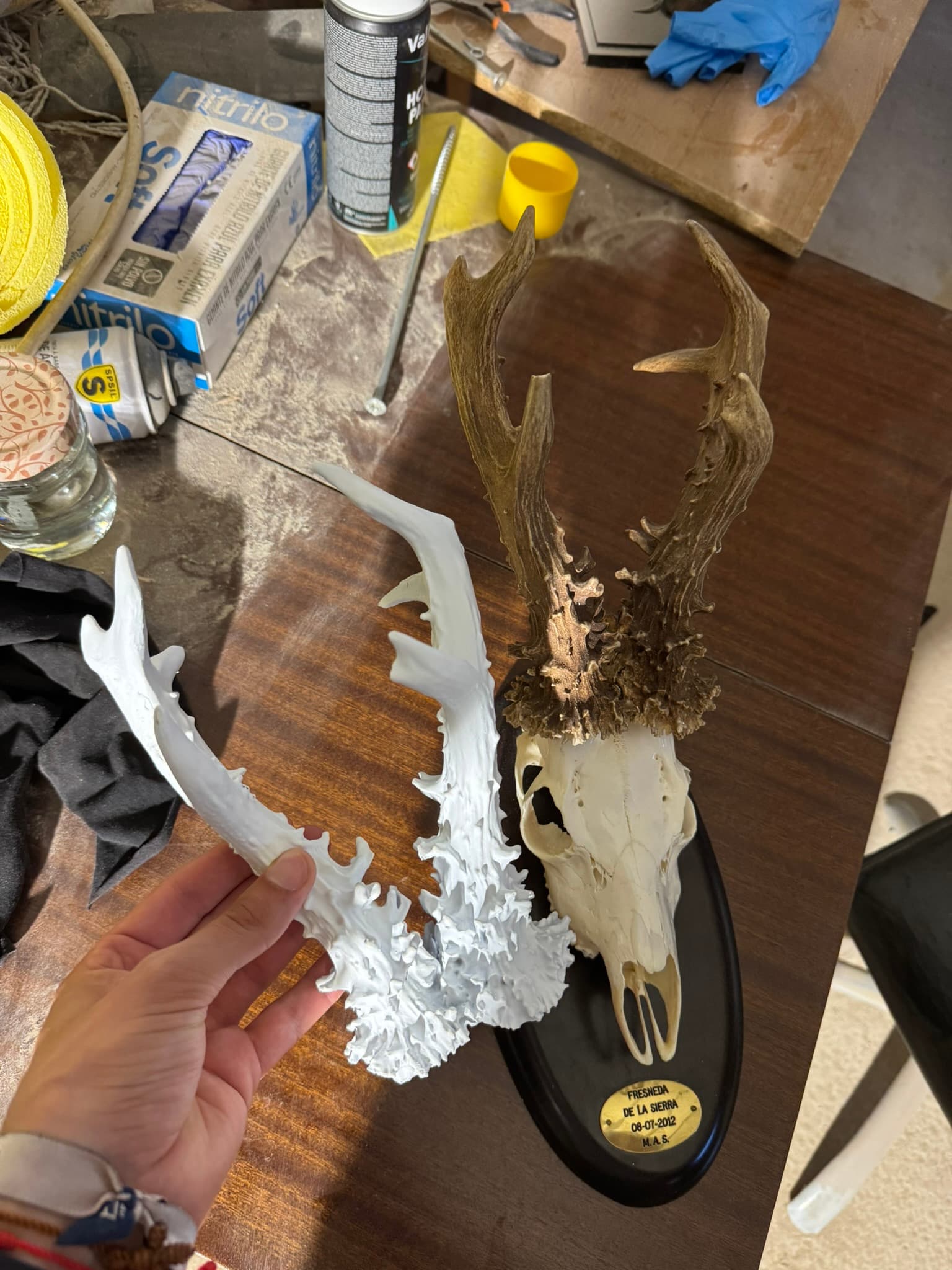 Trofeo a escala real