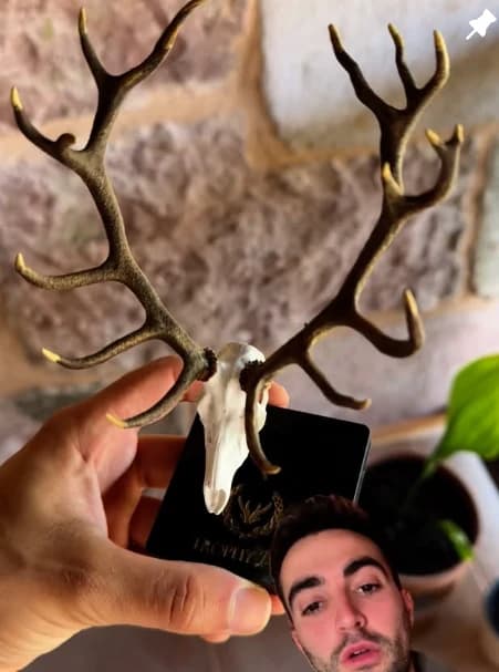 Instagram post: miniature red deer trophy on a base